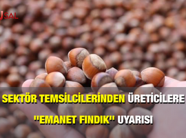 Sektör temsilcilerinden üreticilere ''emanet fındık'' uyarısı